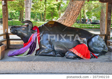 Kitano Tenmangu Shrine Nadushi (Kamigyo Ward, Kyoto City) 107340210