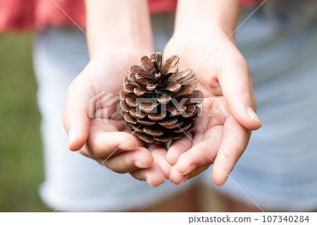 A child holding out a pine cone 107340284