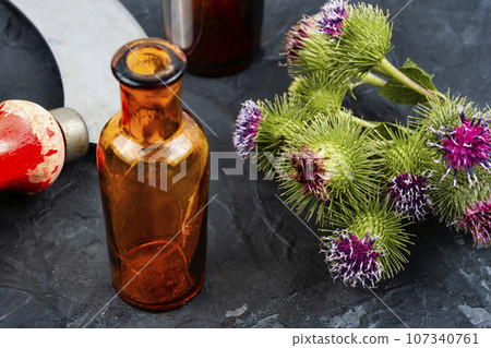 Prickly heads of burdock flowers 107340761