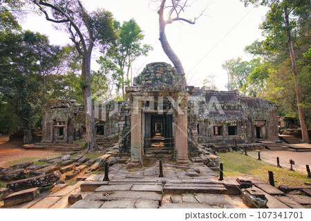 塔布蘢寺，其廢墟多年來被樹木侵蝕，吳哥遺址，柬埔寨 107341701