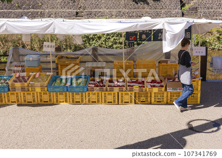 230929 Miyagawa Morning Market z209 230929 Miyagawa Morning Market z209 107341769