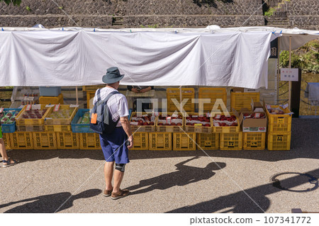 230929 Miyagawa Morning Market z191 107341772