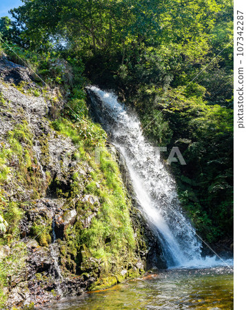 Beautiful silver waterfall at the back of Ginzan Onsen that gives you a Taisho Romantic feel 107342287
