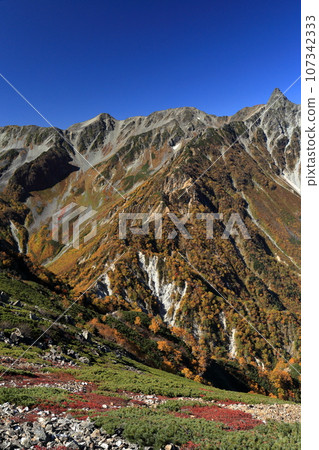 Mt.Yarigatake Higashikamaone in autumn leaves Mt.Yarigatake Higashikamaone in autumn leaves 107342333