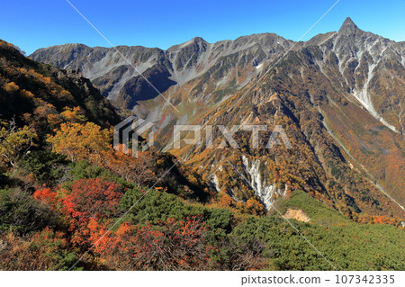 秋葉的矢裡岳東釜根 秋葉的矢裡岳東釜根 107342335