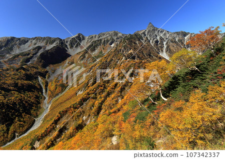 秋葉的矢裡岳東釜根 107342337