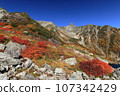 Tenguhara and Yarigatake in autumn leaves 107342429