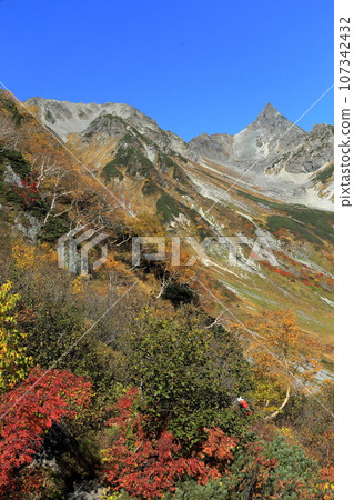 天狗原與秋葉俯瞰矢裡岳 107342432