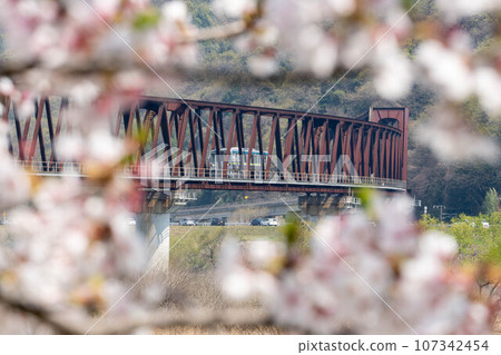 [岡山縣]盛開的櫻花與井原鐵道 107342454