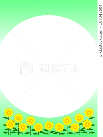 Peaceful sunflower field 107342604