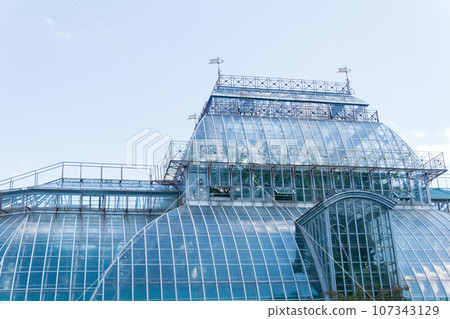 section of a glass dome of vintage tropical flower greenhouse 107343129