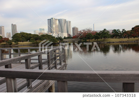 Tokyo Hamarikyu Imperial Garden 107343318