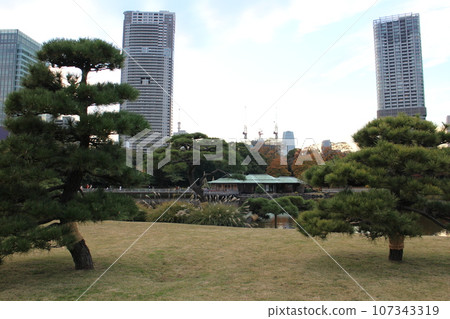 Tokyo Hamarikyu Imperial Garden 107343319
