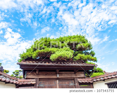 歷史悠久的港口小鎮坂田的夏日景色，這裡是本間家族的前主要住宅 107343755