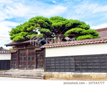 歷史悠久的港口小鎮坂田的夏日景色，這裡是本間家族的前主要住宅 107343777