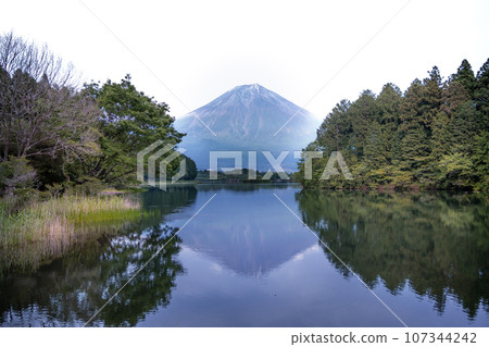 Mt. Fuji reflection in early summer 107344242