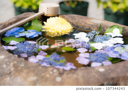 Shrine healing flower wash 107344243