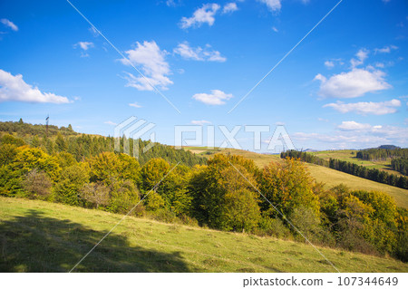 Abstract mountainside with trees. The Carpathian Mountains. Ukraine Abstract mountainside with trees. The Carpathian Mountains. Ukraine 107344649