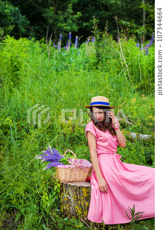 beautiful girl in a beautiful dress sits on a stump in the forest, a bouquet of lupines in a basket 107344664