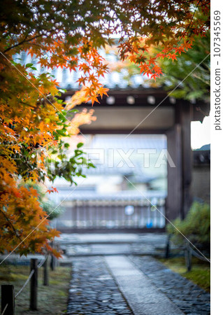 Autumn in Kyoto, autumn leaves at Rakuo-in Temple, colorful autumn leaves on the approach to the shrine and the main gate under the autumn sunset, swirls of light 107345569