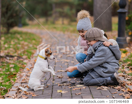 Caucasian boy and girl posing sitting on sidewalk with jack russell terrier dog in park in autumn. Caucasian boy and girl posing sitting on sidewalk with jack russell terrier dog in park in autumn. 107346469