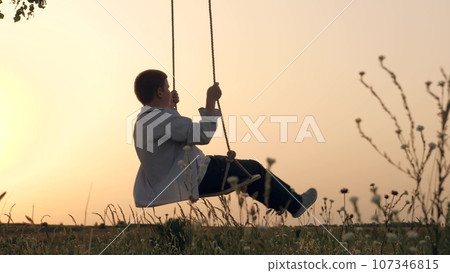 Little boy plays handmade swings resting in nature park at sunset. Playful little boy riding swings silhouette in evening meadow. Happy little boy has fun swinging time in evening summer park 107346815