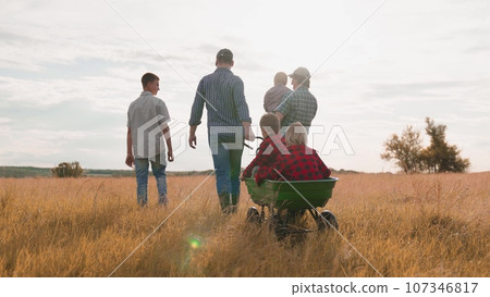 Farmer pulls cart with little children walking with family in country field at sunset light. Happy family with children spending time together on farm field. Farmer family with children in field 107346817