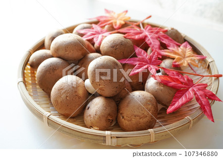 Cremini 蘑菇盛在托盤中,托盤上裝飾著白色背景的秋葉 Cremini 蘑菇盛在托盤中,托盤上裝飾著白色背景的秋葉 107346880