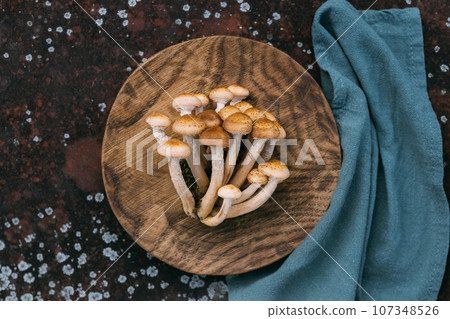 Beautiful delicious mushrooms in a wooden plate with blue napkin. Armillaria mellea, honey fungus or honey agarics. Beautiful mushroom background. Top view, flat lay. Beautiful delicious mushrooms in a wooden plate with blue napkin. Armillaria mellea, honey fungus or honey agarics. Beautiful mushroom background. Top view, flat lay. 107348526