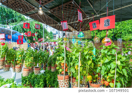 ``Tokyo'' Sensoji Temple 46,000 days ``Hozuki City'' scenery ``Tokyo'' Sensoji Temple 46,000 days ``Hozuki City'' scenery 107349501