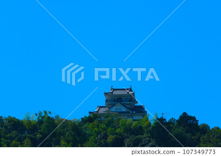 Gifu Castle in the summer Gifu Castle in the summer 107349773