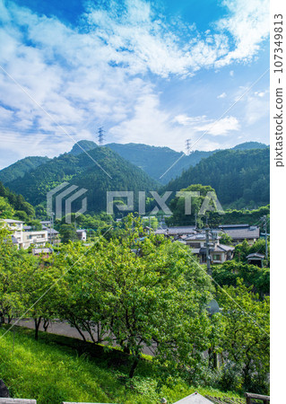 從吉田元氣村眺望吉田河、城市景觀、仲夏風景、秩父市上吉田 107349813
