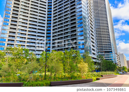 Urban landscape of Kachidoki, Chuo-ku, Tokyo Park Tower Kachidoki Mid and Park Tower Kachidoki South Urban landscape of Kachidoki, Chuo-ku, Tokyo Park Tower Kachidoki Mid and Park Tower Kachidoki South 107349861