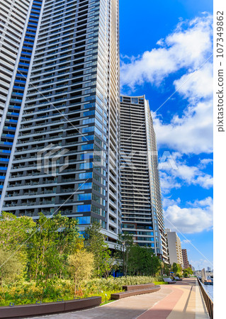 Urban landscape of Kachidoki, Chuo-ku, Tokyo Park Tower Kachidoki Mid and Park Tower Kachidoki South Urban landscape of Kachidoki, Chuo-ku, Tokyo Park Tower Kachidoki Mid and Park Tower Kachidoki South 107349862