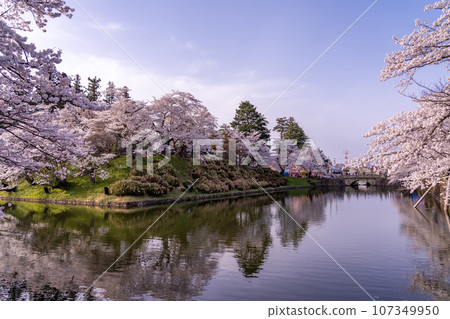 山形縣米澤市，米澤城遺址護城河，春天櫻花盛開 107349950