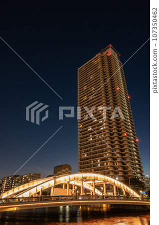 大阪中之島堂島川夜景 大阪中之島堂島川夜景 107350462