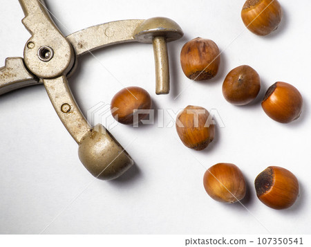 old nut cracker. Hazelnuts on a white background. Nuts in a shell. Healthy diet. Ingredients for preparing a healthy lunch. Broken hazelnut. old nut cracker. Hazelnuts on a white background. Nuts in a shell. Healthy diet. Ingredients for preparing a healthy lunch. Broken hazelnut. 107350541