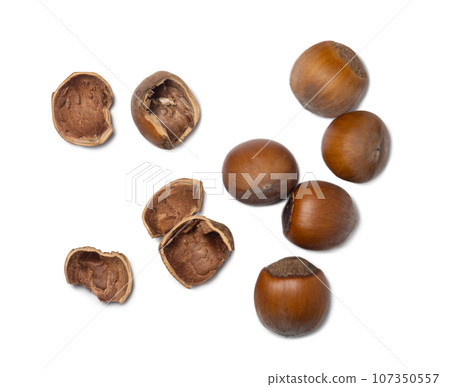 Whole hazelnut. Chopped hazelnuts on a white background. Nuts in a shell. Ingredient for vegan food. 107350557