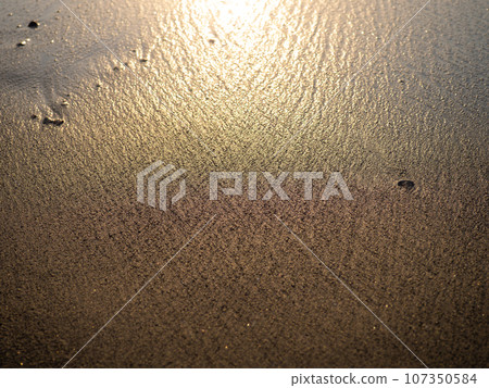 Wet sand of the beach in the rays of the setting sun. The silence of the wild beach. Natural background. Black sand in the sun close-up. Quiet place. Edge of the coast. Bathing place. Wet sand of the beach in the rays of the setting sun. The silence of the wild beach. Natural background. Black sand in the sun close-up. Quiet place. Edge of the coast. Bathing place. 107350584