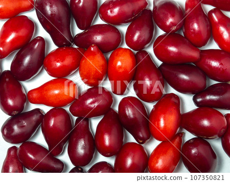 Dogwood berries on a white background. Lots of red berries. Useful fruit. Healthy food. Tart berry. Dogwood berries on a white background. Lots of red berries. Useful fruit. Healthy food. Tart berry. 107350821