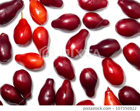 Dogwood berries on a white background. Lots of red berries. Useful fruit. Healthy food. Tart berry. Dogwood berries on a white background. Lots of red berries. Useful fruit. Healthy food. Tart berry. 107350822