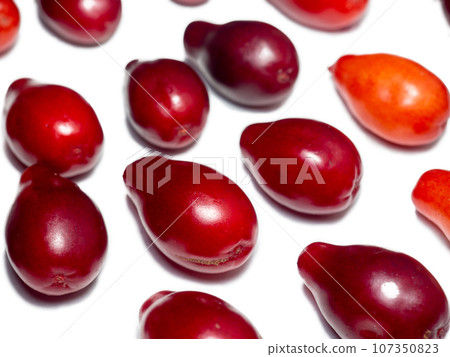 Dogwood berries on a white background. Lots of red berries. Useful fruit. Tart berry. dogwood isolate Dogwood berries on a white background. Lots of red berries. Useful fruit. Tart berry. dogwood isolate 107350823