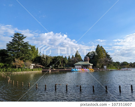 柏之葉公園船屋與天鵝船 107351607