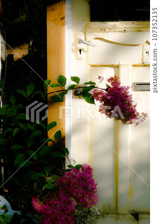 The beginning of autumn in Kitanokuni Atelier Rokugo 2023 107352135