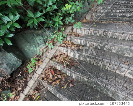 半田市南二坂町風景 107353445