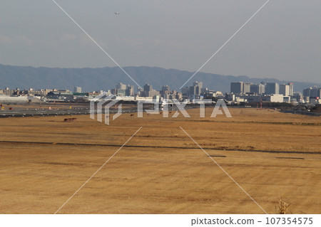 Itami Airport Takeoff and Landing Simultaneous Photography Itami Airport Takeoff and Landing Simultaneous Photography 107354575