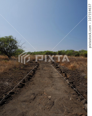 沿著夏威夷大島的小徑健行 107354637