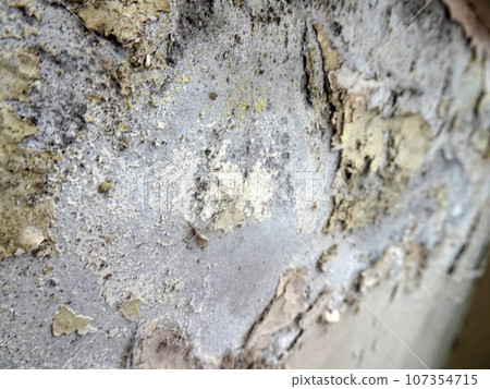 paint peeling paint peeling 107354715