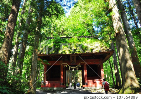 Nagano City, Togakushi Shrine's inner shrine approach cedar trees, Zuishinmon gate, and worshipers 107354899