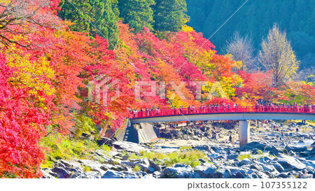 Beautiful autumn leaves of Korankei and Matigetsu Bridge 107355122